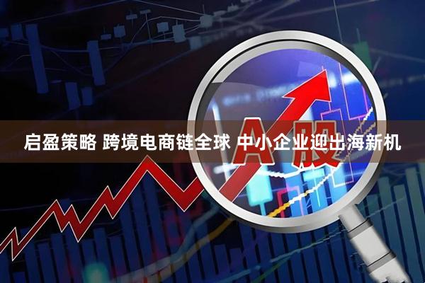 启盈策略 跨境电商链全球 中小企业迎出海新机