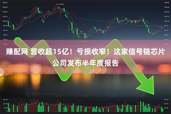 赚配网 营收超15亿！亏损收窄！这家信号链芯片公司发布半年度报告