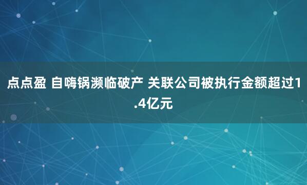 点点盈 自嗨锅濒临破产 关联公司被执行金额超过1.4亿元