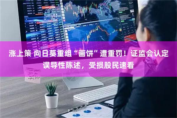涨上策 向日葵重组“画饼”遭重罚！证监会认定误导性陈述，受损股民速看